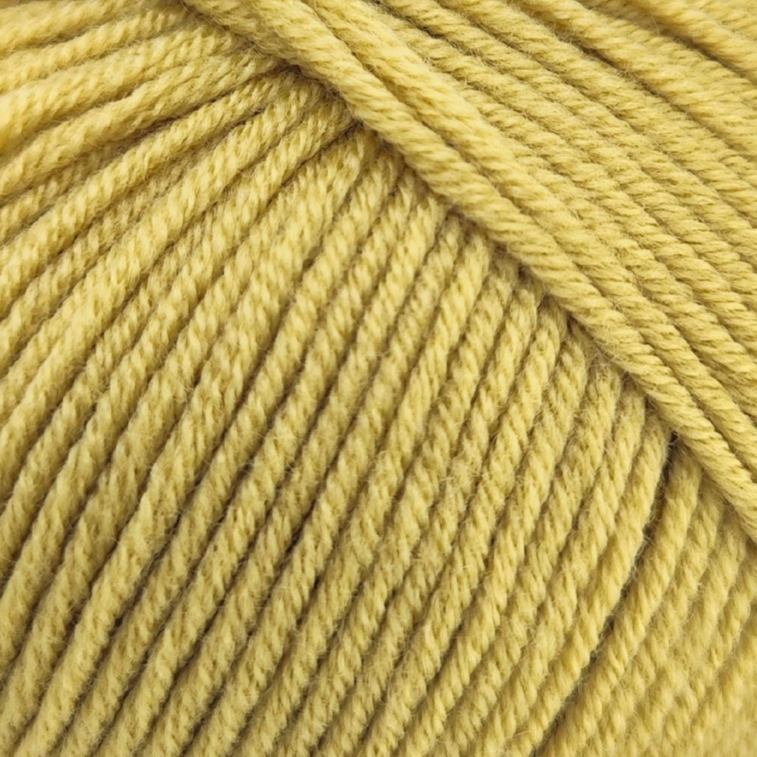 ggh Merino Deluxe - 300g Set (6x50g) - 031 - Weizen - ggh Wolle