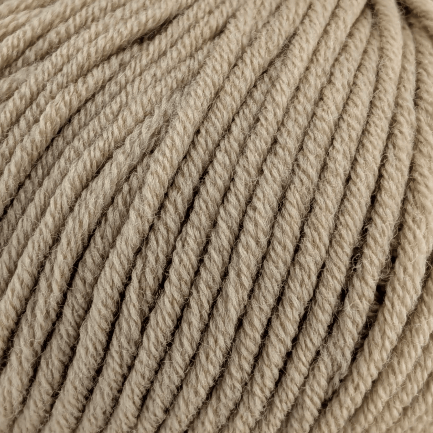 ggh Samson | 108 - Angorakanin - ggh Wolle